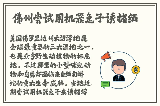 有人有片资源吗免费的